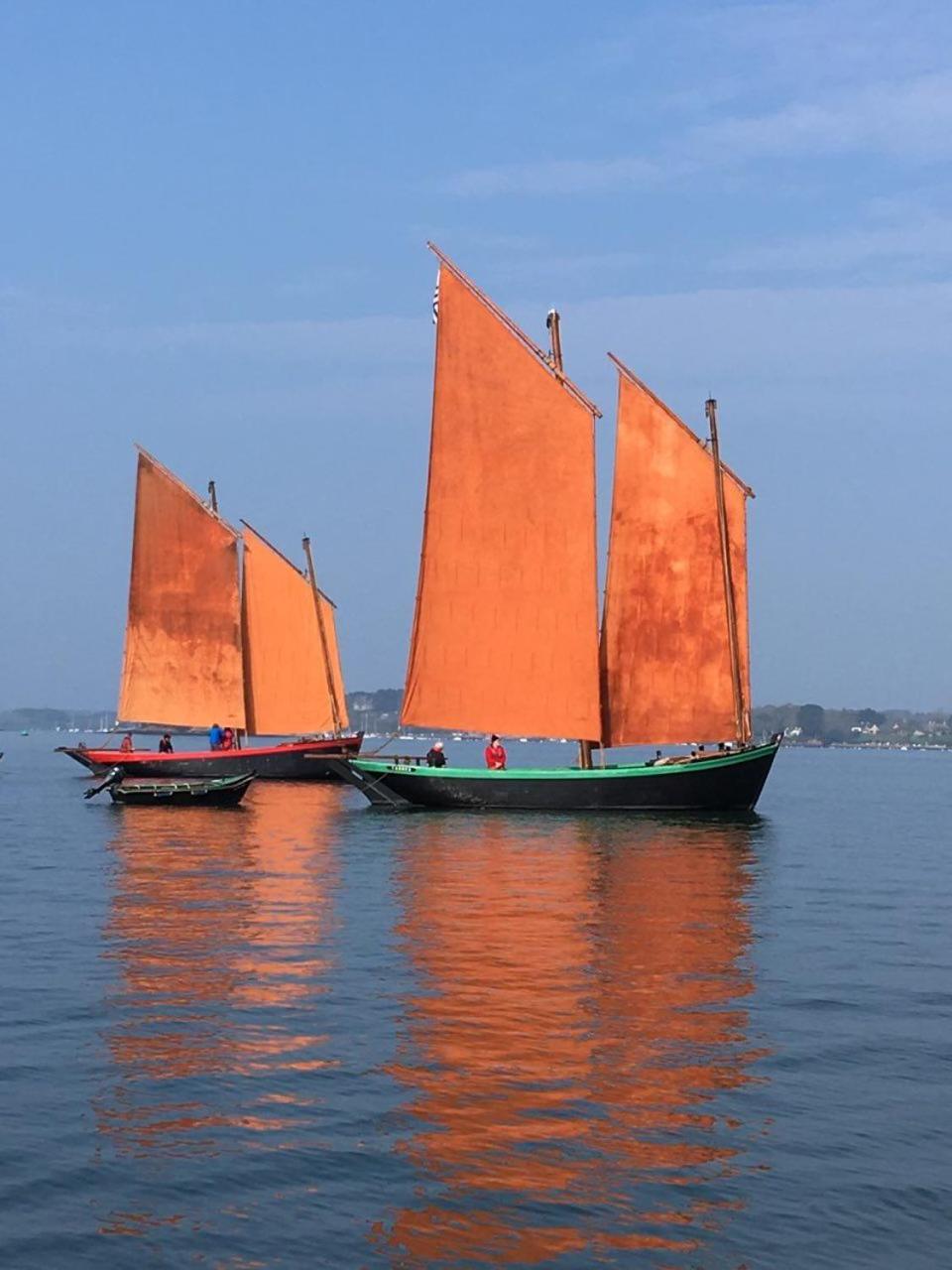 1 2 3 Chambres Entre La Presqu Ile De Rhuys Et Le Golfe Du Morbihan Theix Exterior foto